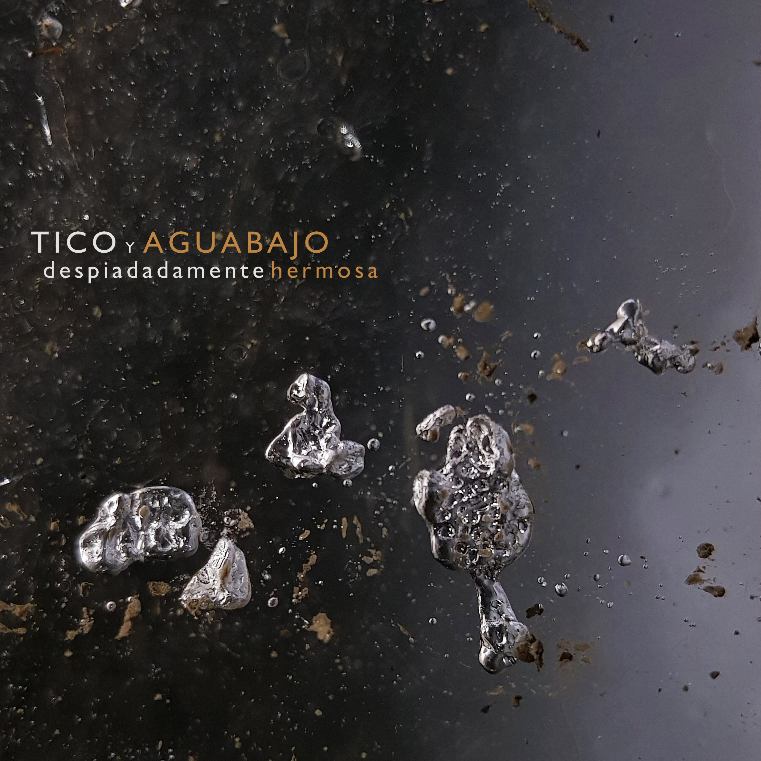 Tico y Aguabajo - despiadadamente hermosa 3000px